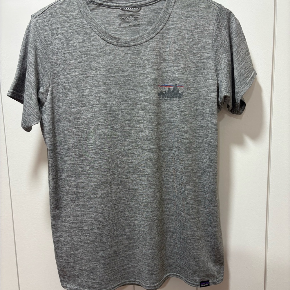 Patagonia Gray Short Sleeve Capilene Graphic Tee Shirt Size Medium Save Planet